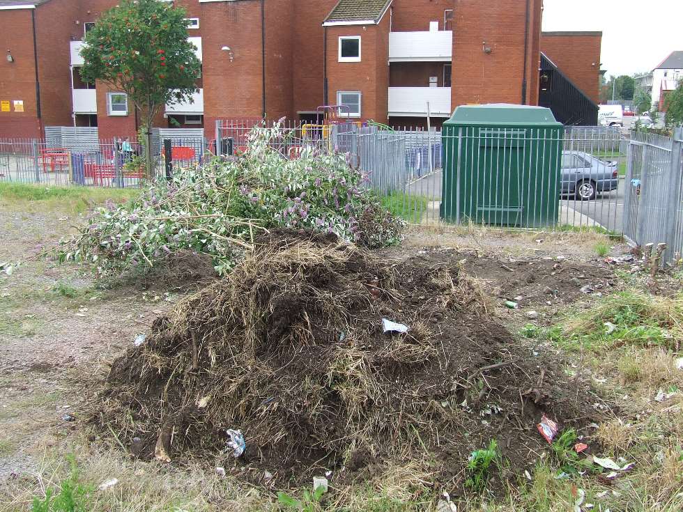 Plot of land with piles of dirt