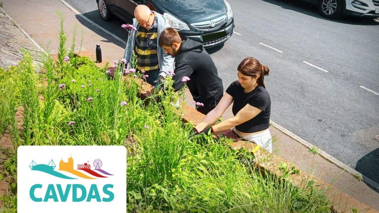 cavdas workers weeding front bed with logo